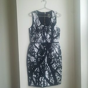 Taylor Black/White Dress Size 6